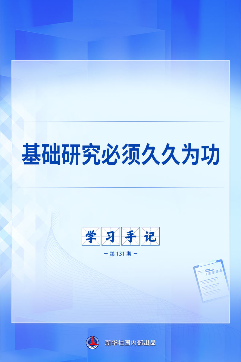探索多多28的无限可能 - 多多28
